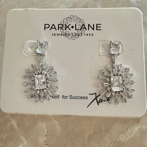 Park Lane Glitz earrings